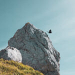 tournette, montagne, rando, animaux, oiseaux, bouquetin, chocard, ciel