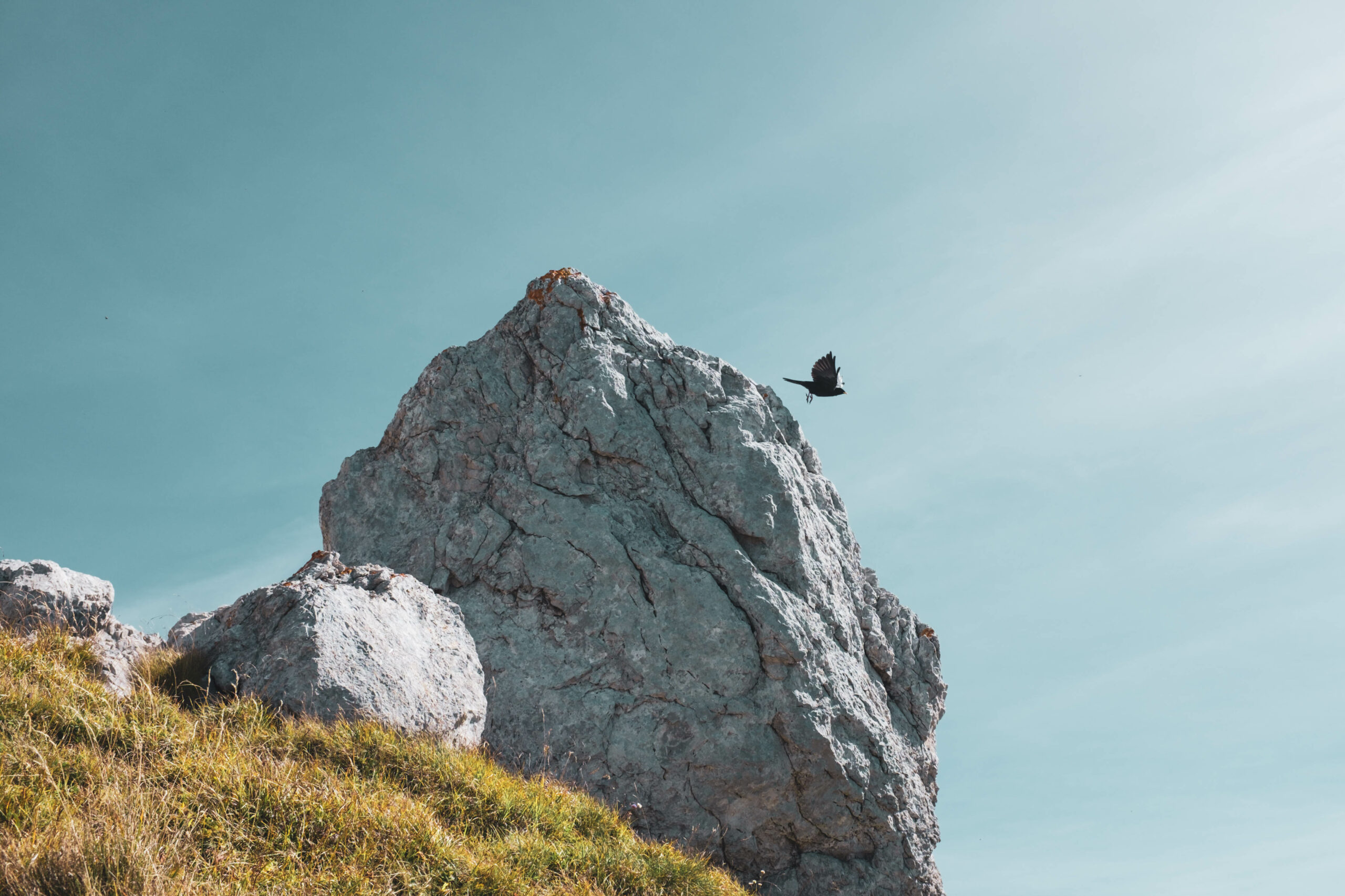 tournette, montagne, rando, animaux, oiseaux, bouquetin, chocard, ciel