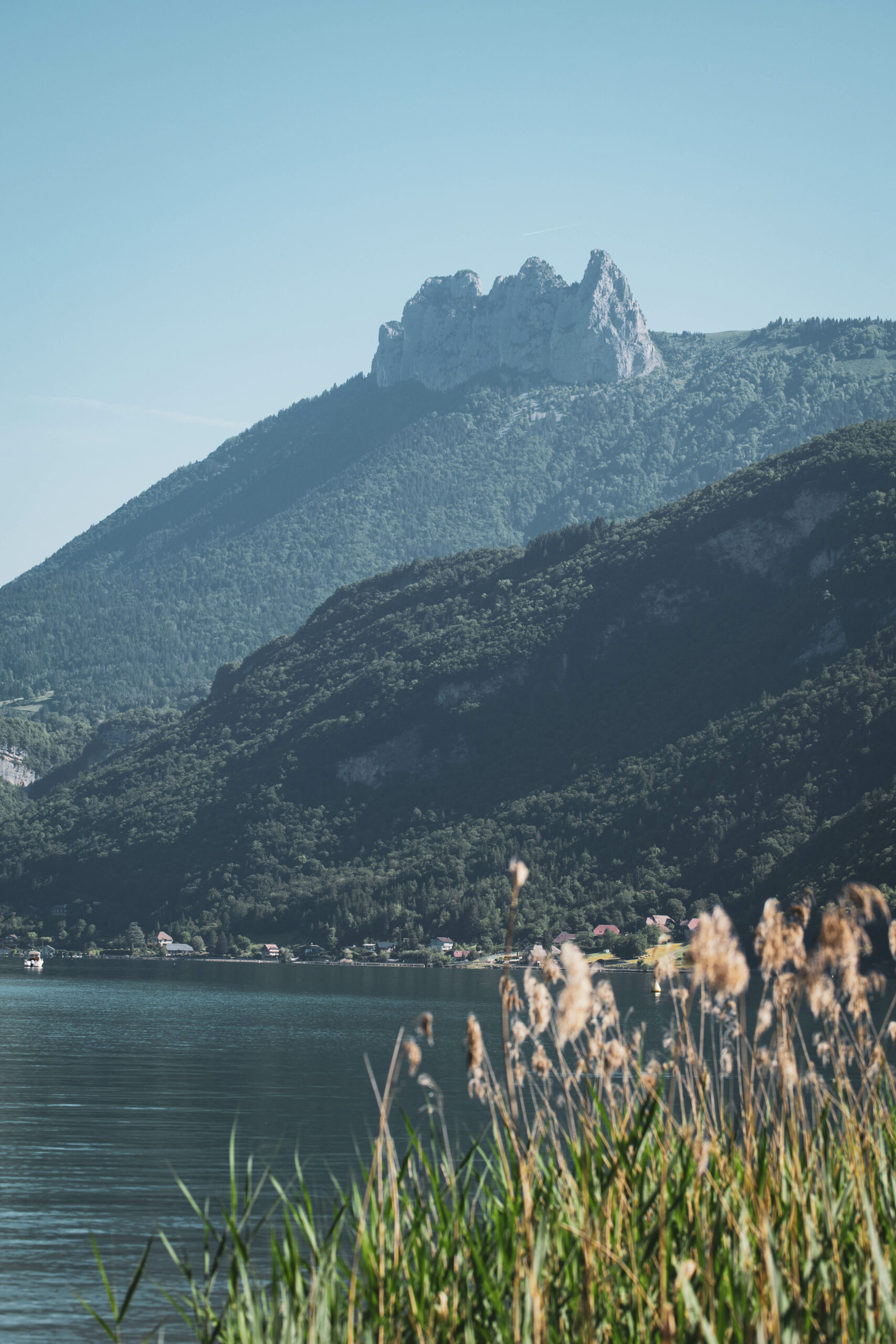 bout du lac, lac d'annecy, annecy, doussard, lac, lake, nature, montagne, animaux, oiseaux, bateaux, bleu, arbres