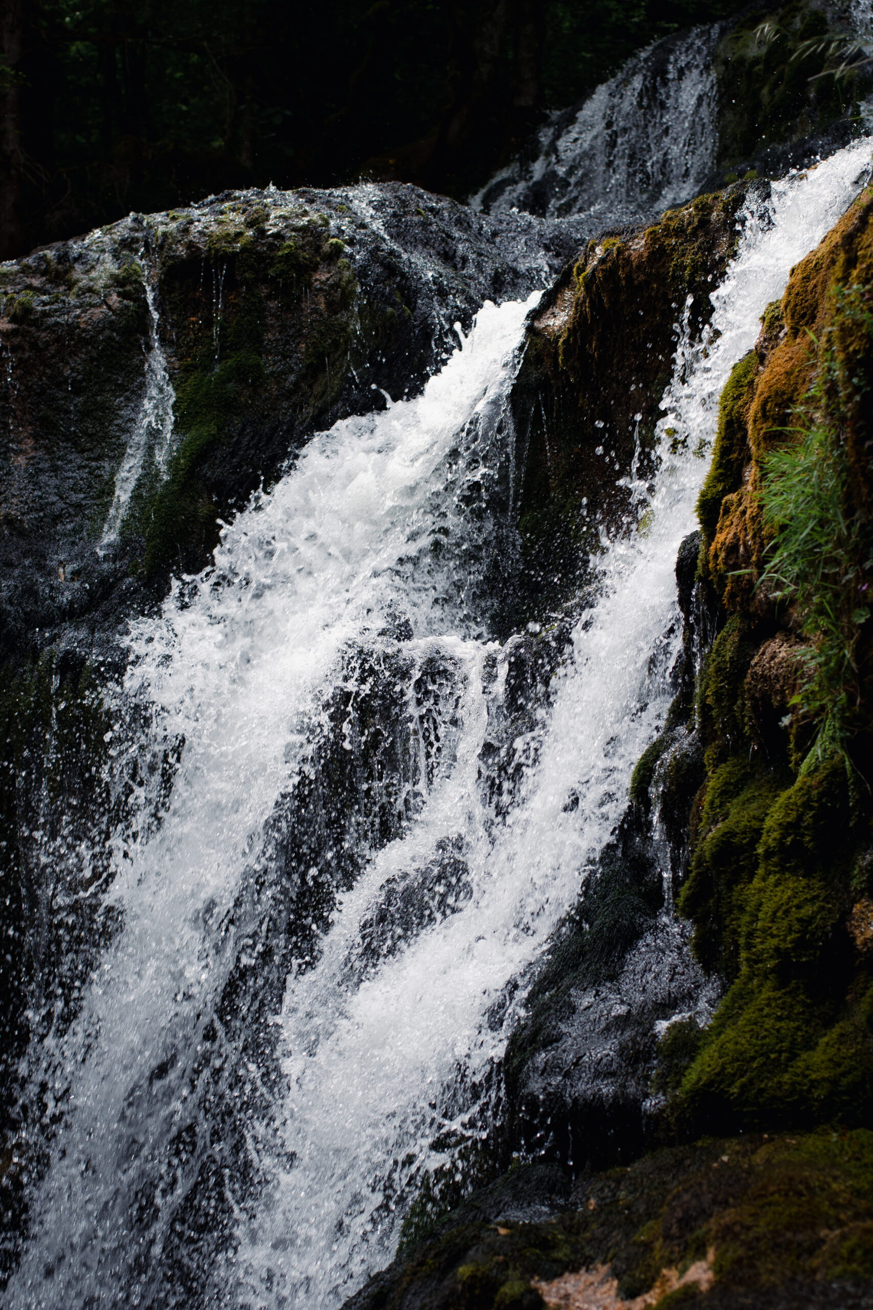 cascade, cailloux, roche, beau, rando, pissieu, foret, arbres, serenite